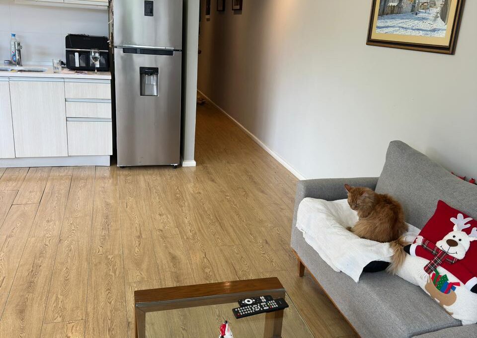 WhatsApp Image 2025-12-23 at 11.07.49 (1)