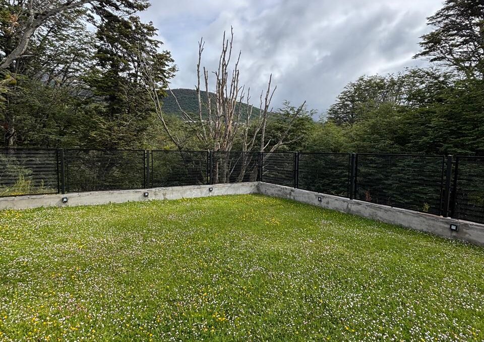 WhatsApp Image 2026-01-12 at 10.40.53